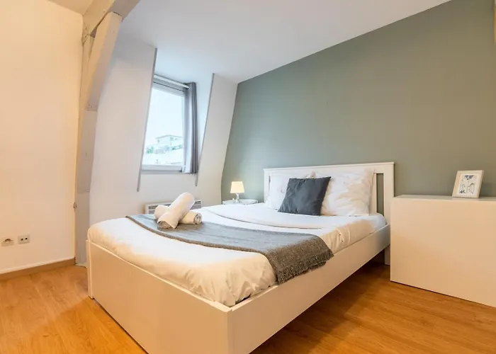 Functional And Equipped Apartment Lille