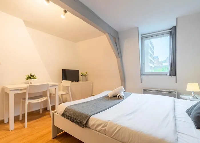 Apartment Functional And Equipped Lille